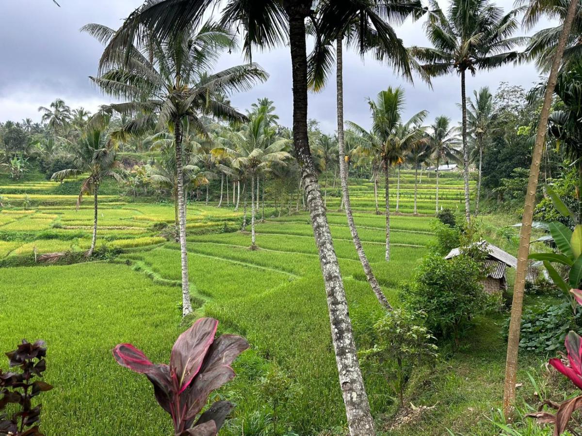 Mysha Guest House-Lombok Тетебату Экстерьер фото